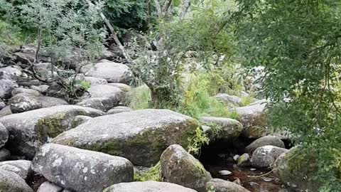 River Dart. Dartmoor. Dartmeat.