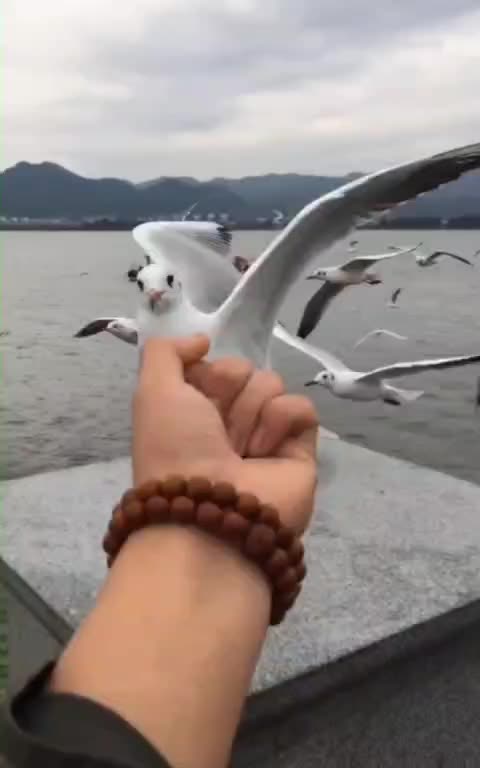 Rude. Crude. Mean. But.