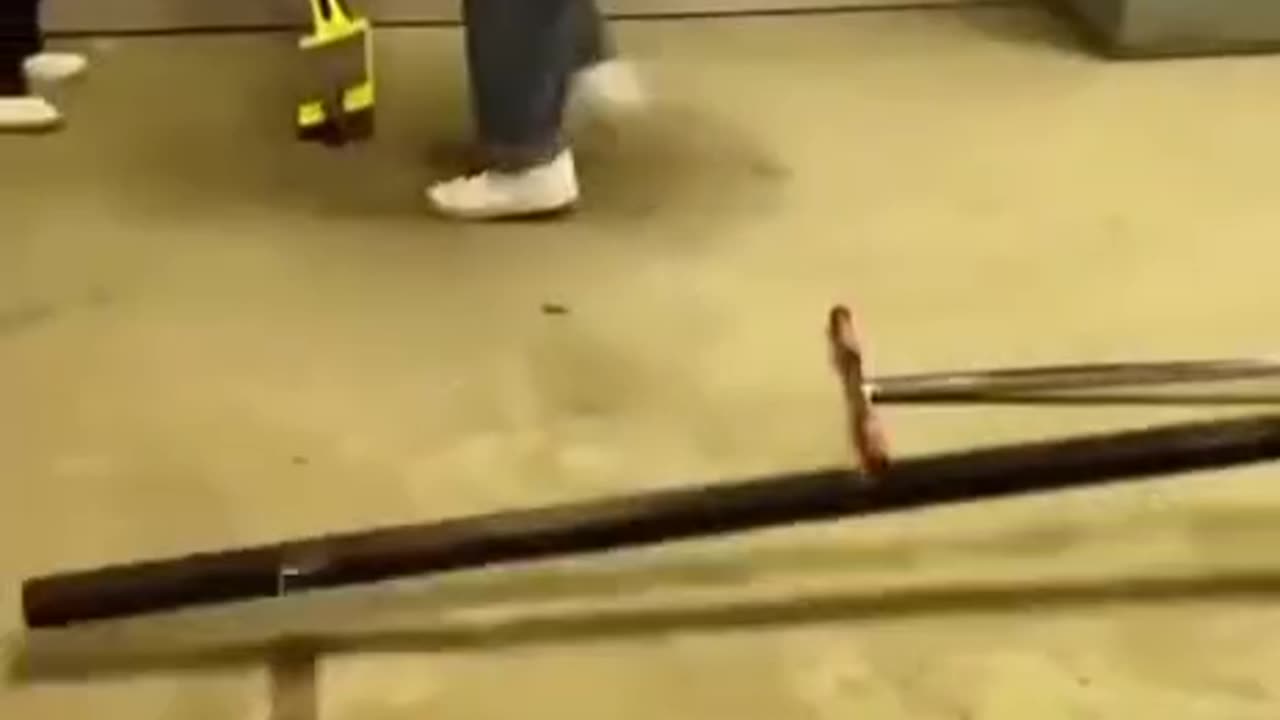 funny videos 🤣