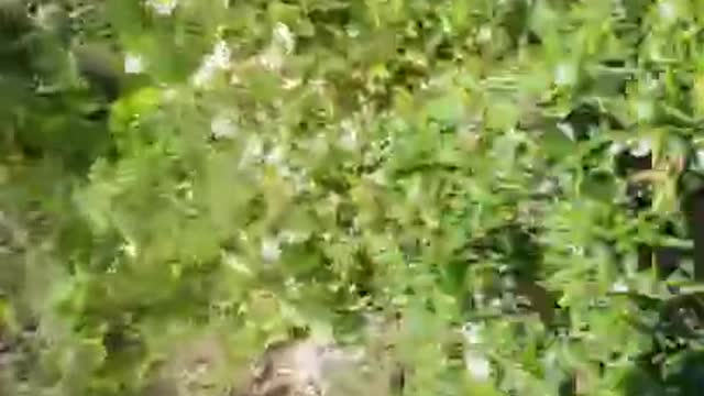 Squarci di tempo ripresi oggi - 09/05/2022 - 1° parte