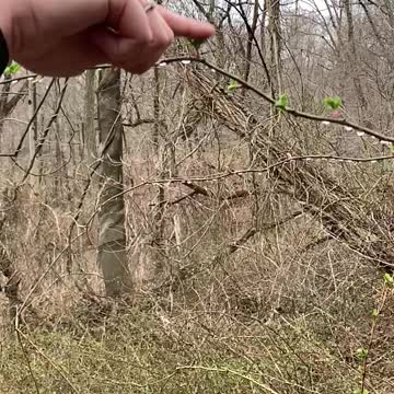 TAP THAT SH*T (slo-mo)