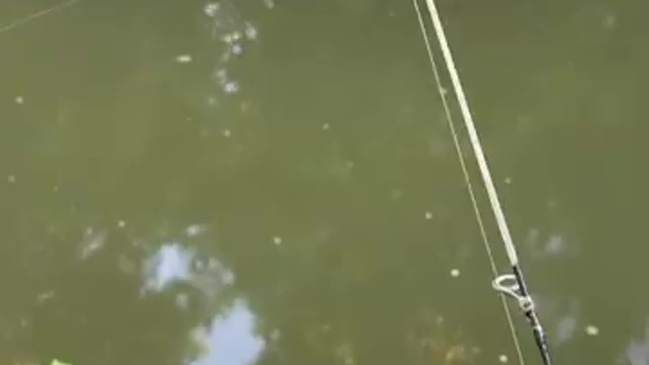 The EASIEST Way to Catch Catfish!