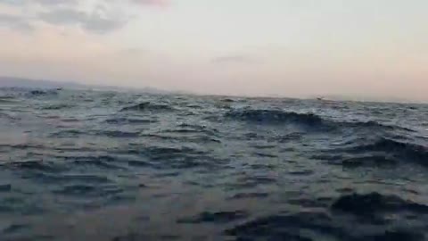 Katamaran prevozi Olivera u Velu Luku