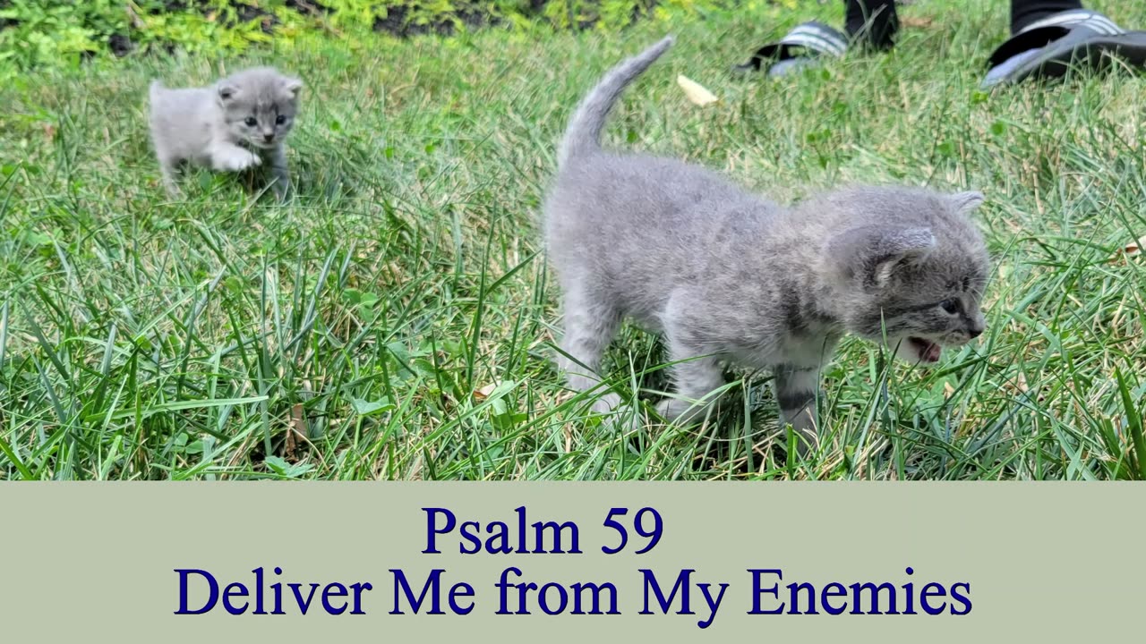 Psalm 59 - ESV Audio