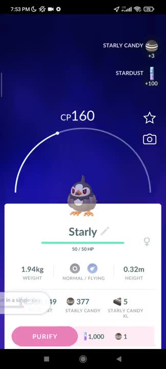 Pokémon GO-Shadow Starly
