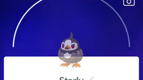 Pokémon GO-Shadow Starly