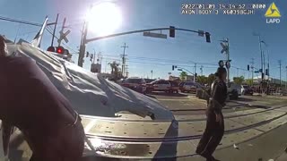 LAPD officers rescue a pilot moments before train crash