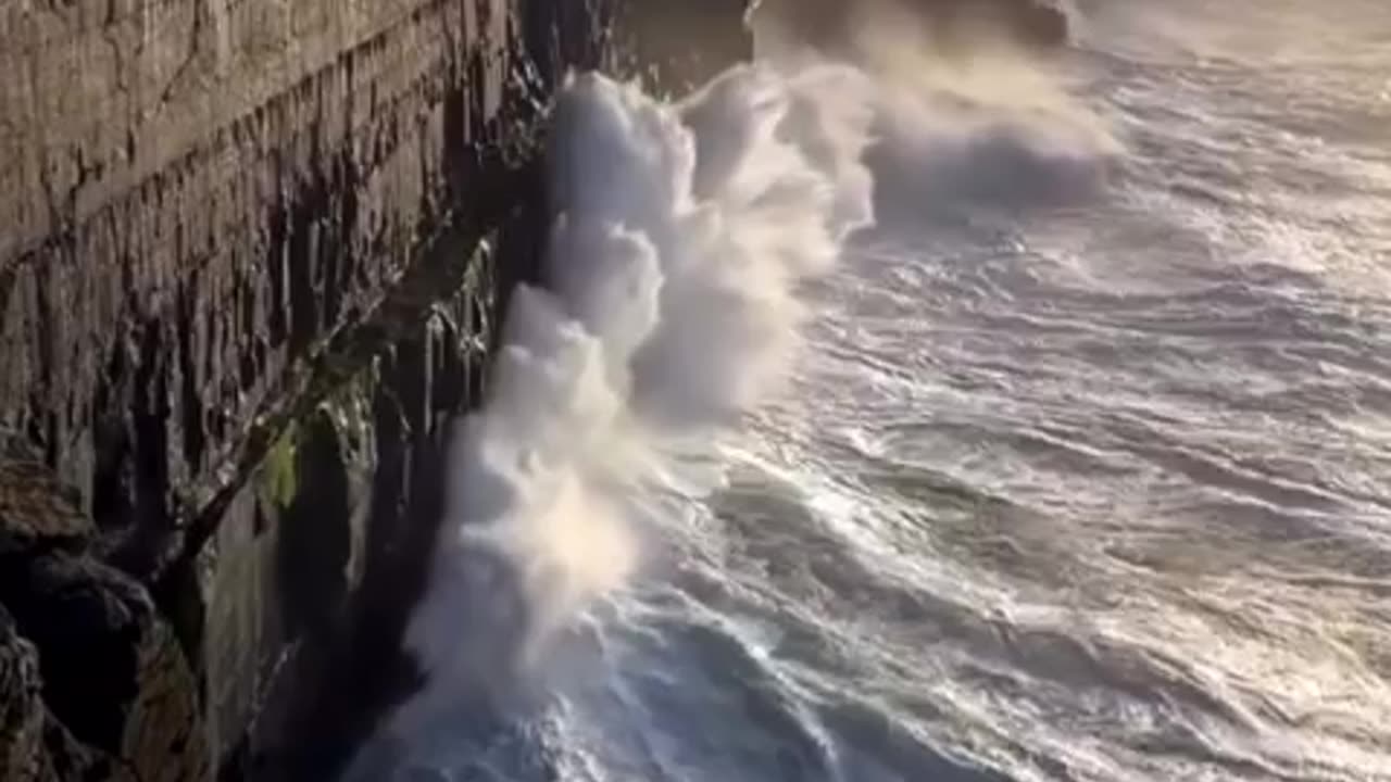 This rock just like Palestinians
