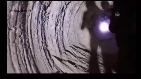 Where’s the rest at? Gotta be an Amy of them