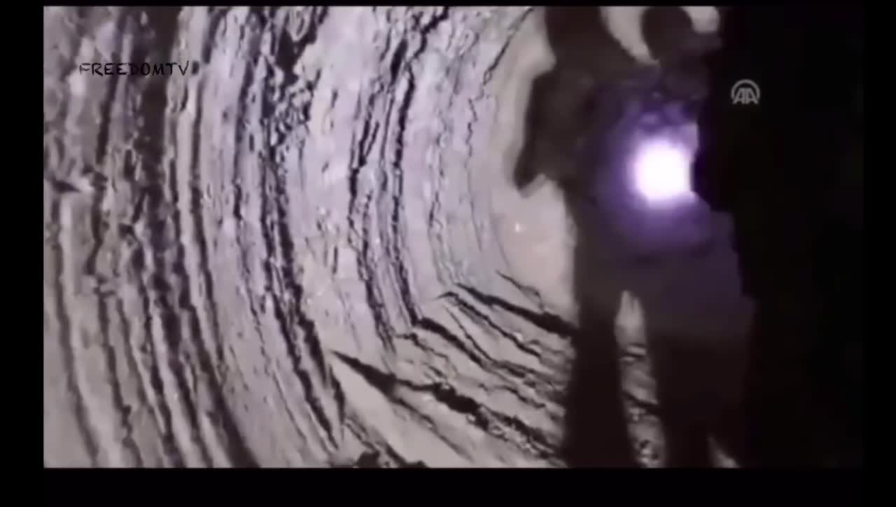 Where’s the rest at? Gotta be an Amy of them