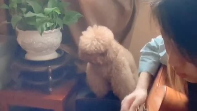 邓紫棋潘玮柏攀登昨天把名字打错了wow美这么简单