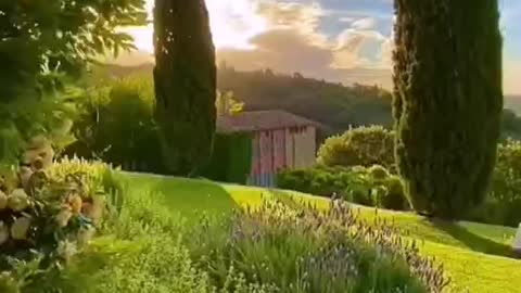 Morning sunshine