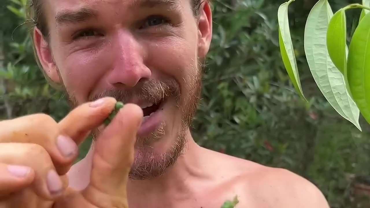 This fruit was mistek