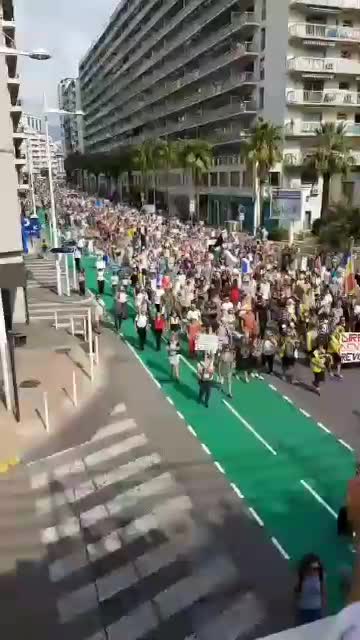 TOULON, FRANCE: RISING UP AGAINST VACCINE PASSPORTS