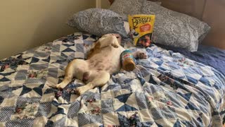 Edison coming out of the food coma