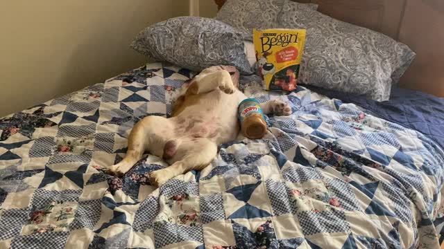 Edison coming out of the food coma