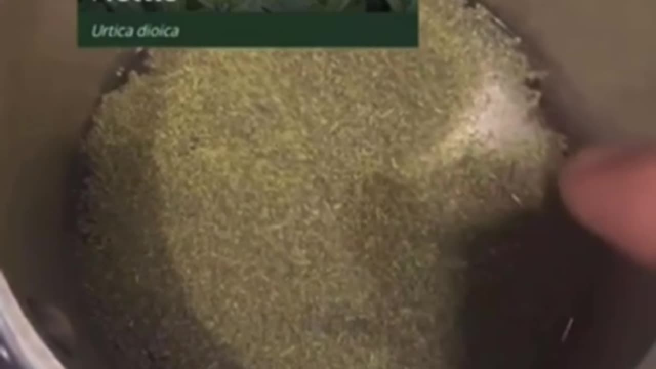 ONE HERB TO HELP YOUR KIDNEYS