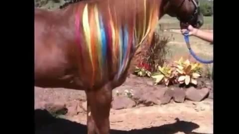 Horse with their amazing hairstyle