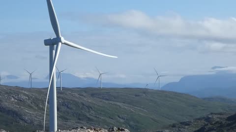 Ohne Wind - Kein Strom - Grüner Wahn