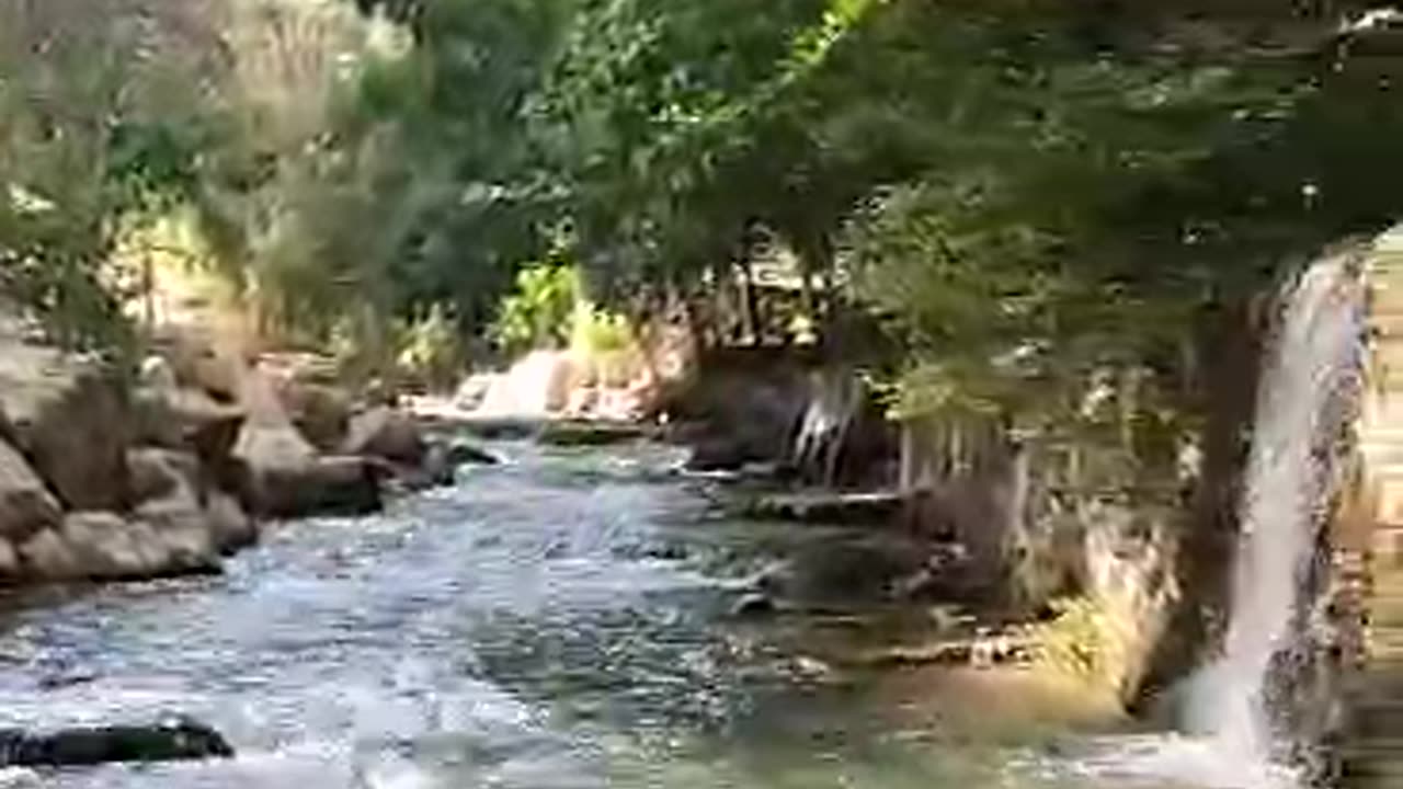 Nature