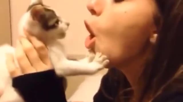 funny ca tCute and Funny Cat Video