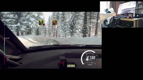 Dirt Rally 2.0 - Citroen C4 WRC - Sweden - SS 7