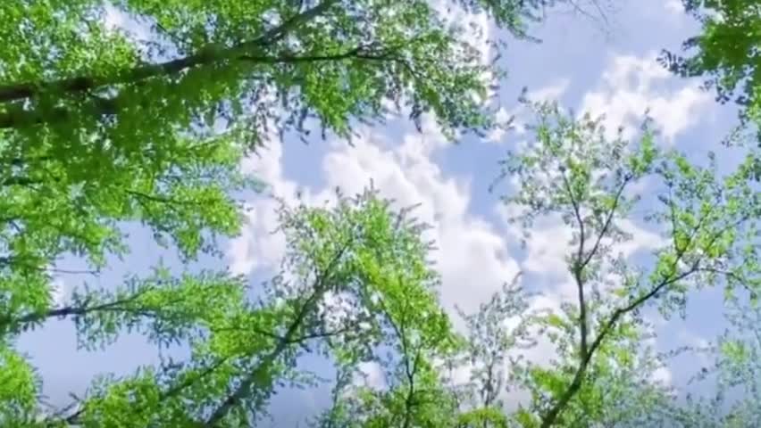 Look up at the beautiful sky