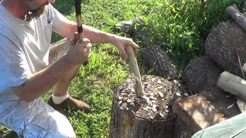 Forging a mouse hawk