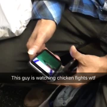 This guy is watching chicken fights