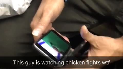 This guy is watching chicken fights