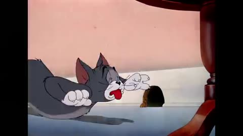 Tom & Jerry Cartoon