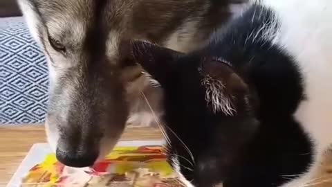 Best penting for animals