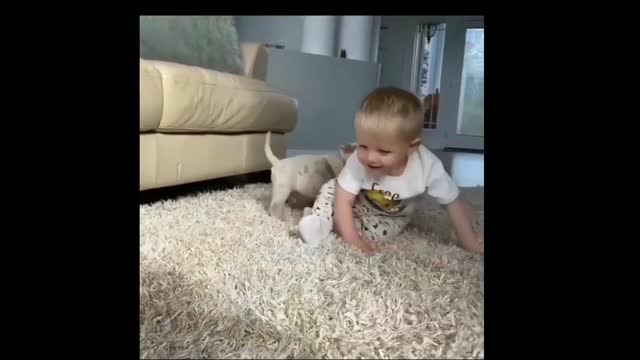 Children playing with cute dogs