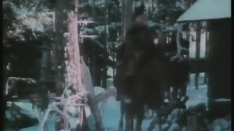 Siberian tiger drives away wolves