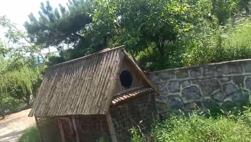 small house for animals