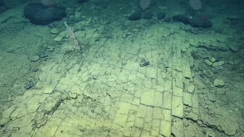 Exploring the Underwater Yellow Brick Road Adventure in the Pacific!