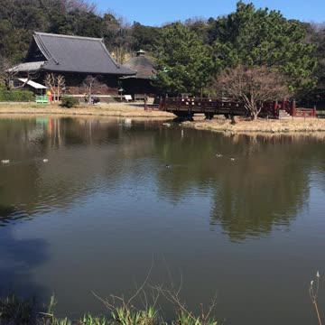 It's a beautiful garden in Japan