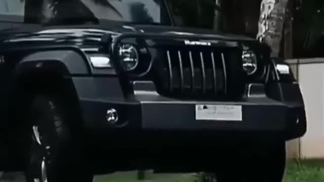 Black thar