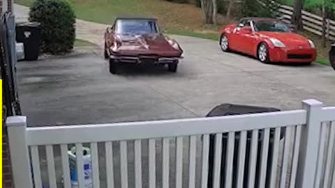 HAVING A BAD DAY WATCH THIS! 😂🔥