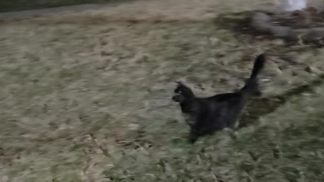 A windy morning for Boots