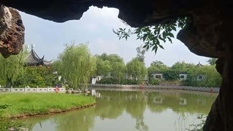 This small pond is full of water plants