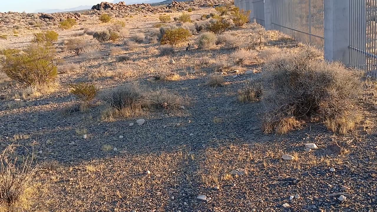 Hiking - Shadow Mountain, Pahrump, NV 89060 - 20241006T173713