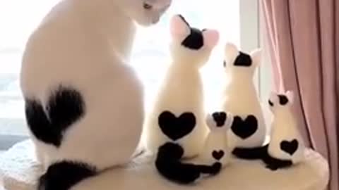 Lovely cute cats family