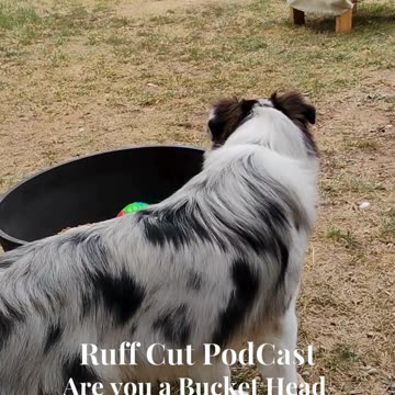 Cable, bucket head ! 1