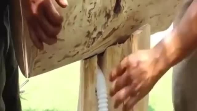 Wood working video #shorts