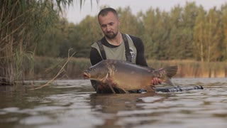 BIG CARP RELEASE TO THE LAKE