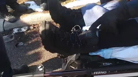 Passer-By Rescues Mail Carrier from Being Mauled