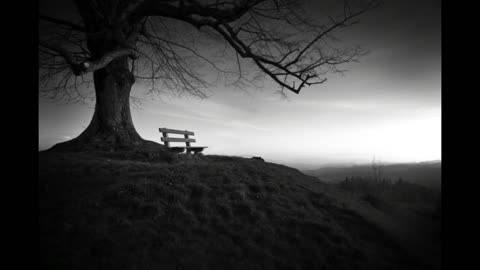 Rediscovering Light in Dark Times
