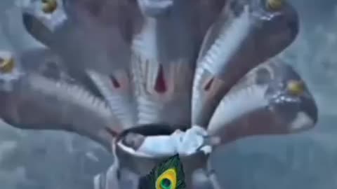 #केवल #सनातनी #लोग #लाइक #और #फॉलो #करें 🚩⛳⛳🚩 jay shree Krishna ⛳🚩⛳🚩