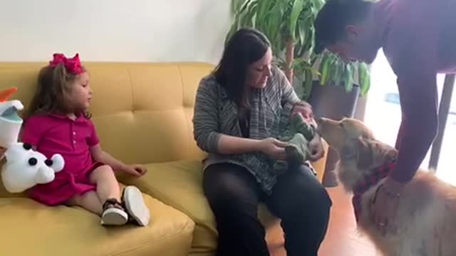 Dog meets its new baby brother
